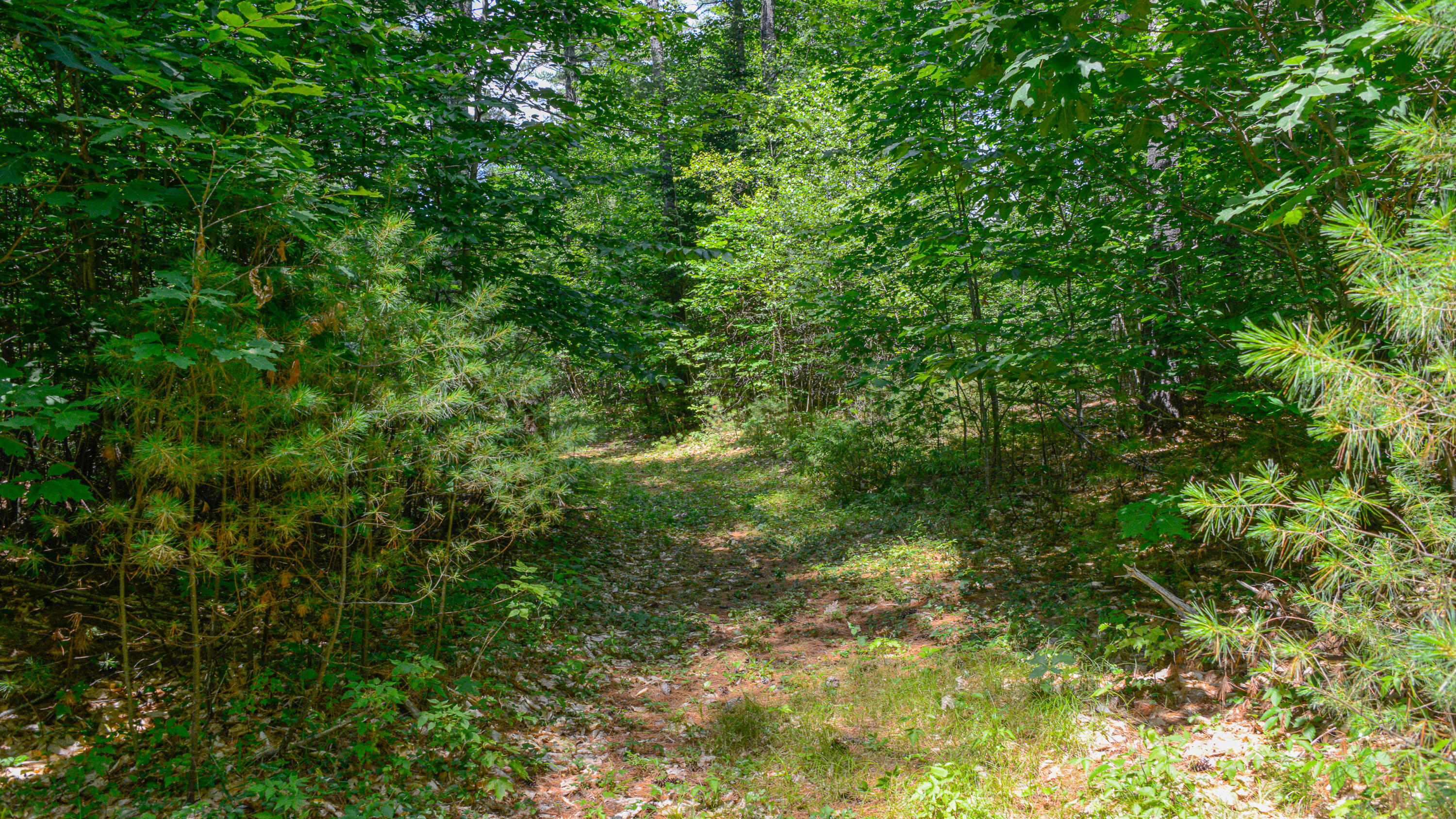 R08-004 Fern Drive TBD