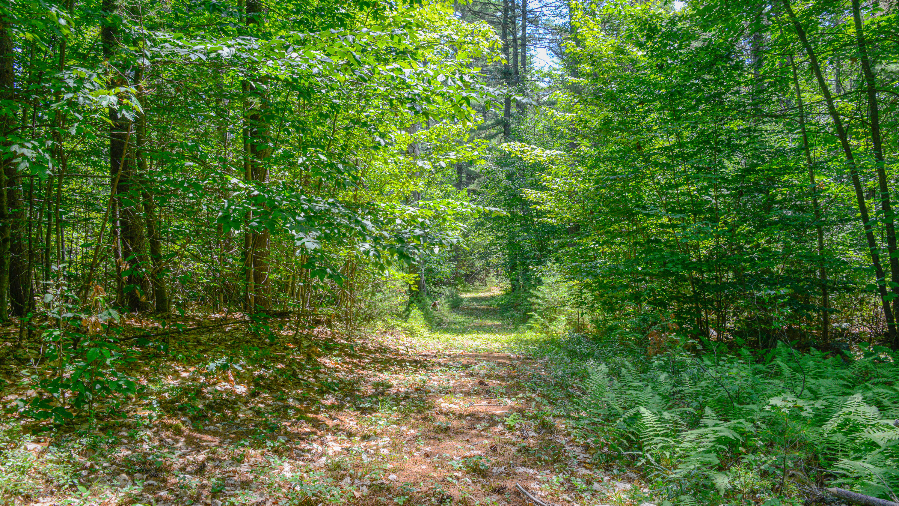 R08-004 Fern Drive TBD