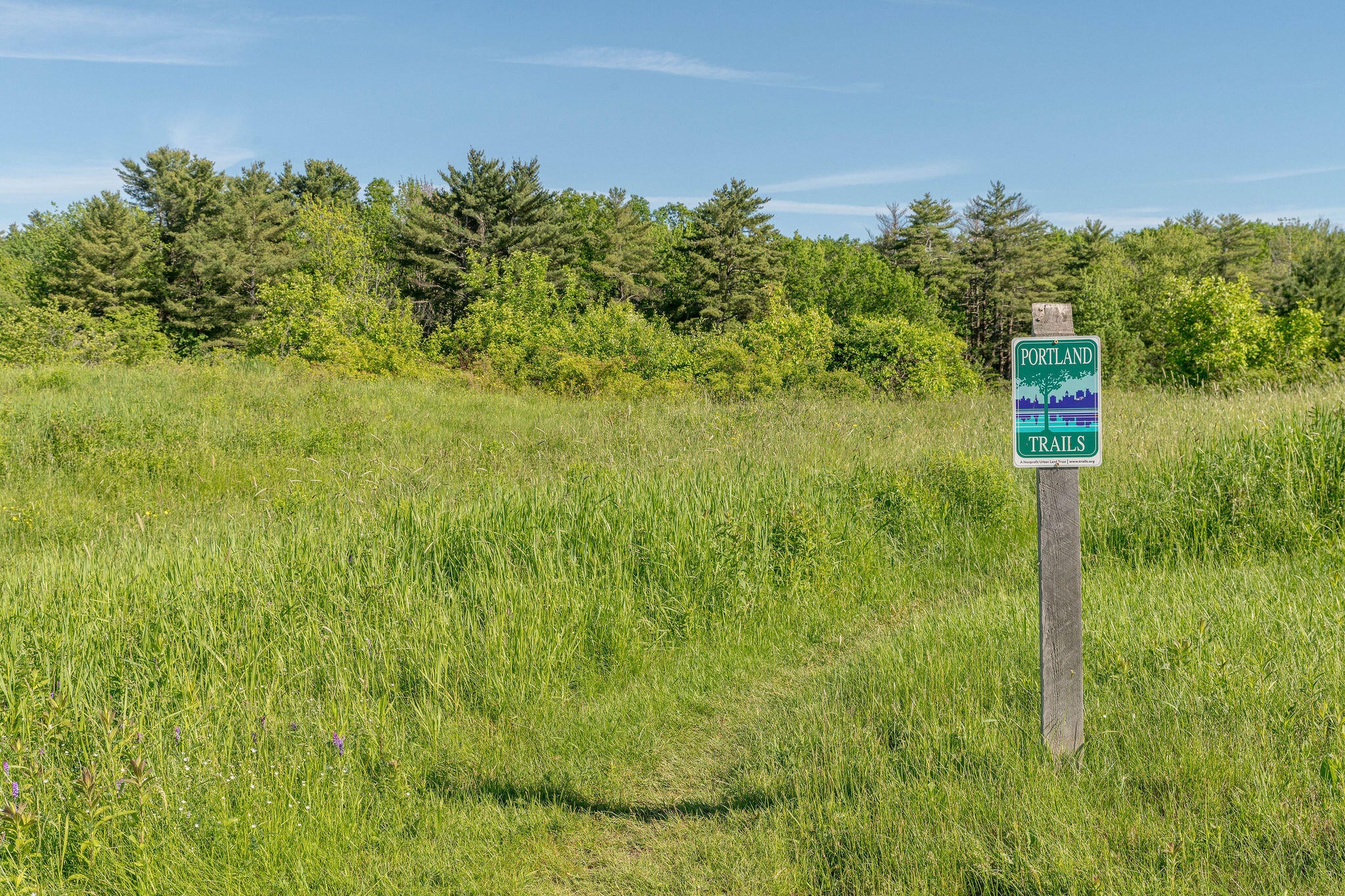 163 Owl's Nest Road