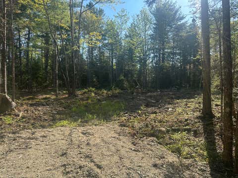 Photo of 61 Gerards Trail, Blue Hill, ME 04614 (MLS # 1665690)