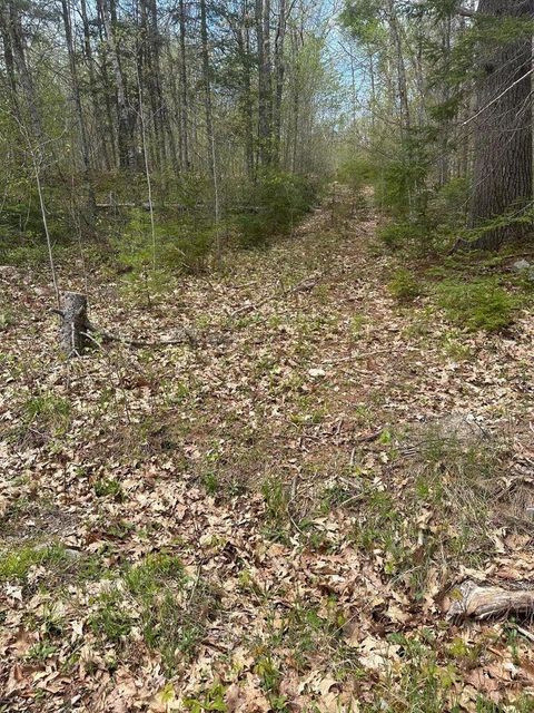 Photo of Lot 3 Morse District Road, Steuben, ME 04680 (MLS # 1664526)
