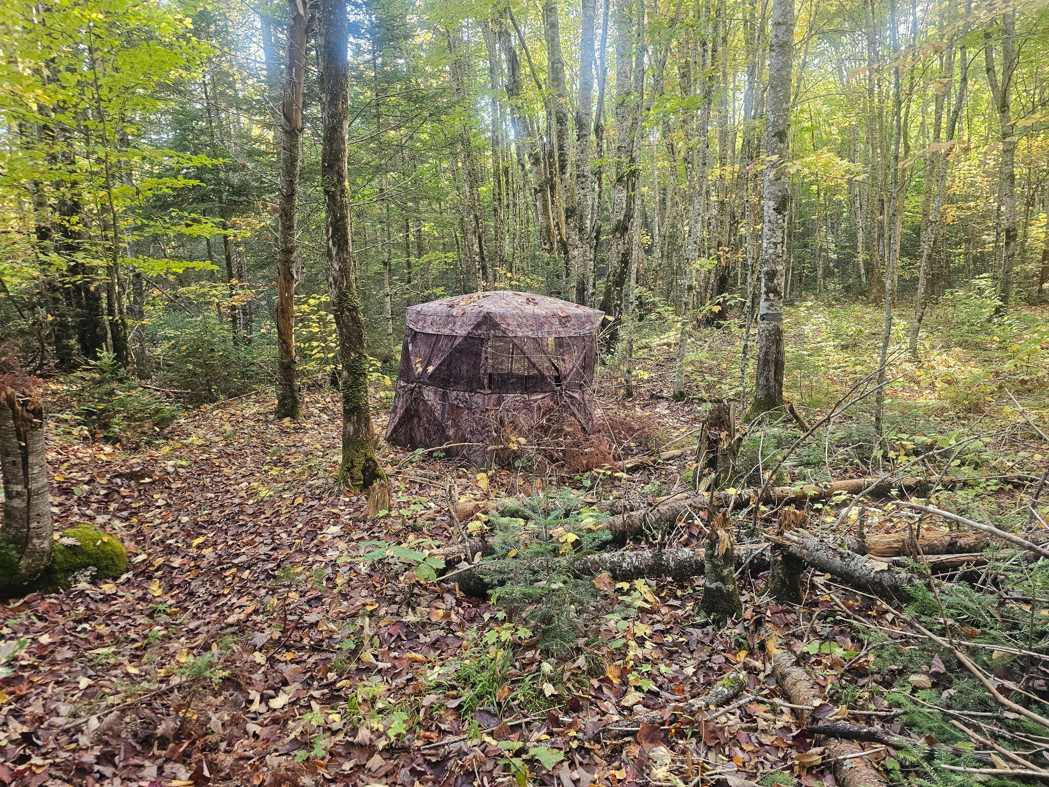 154 Lower Road LOT 35