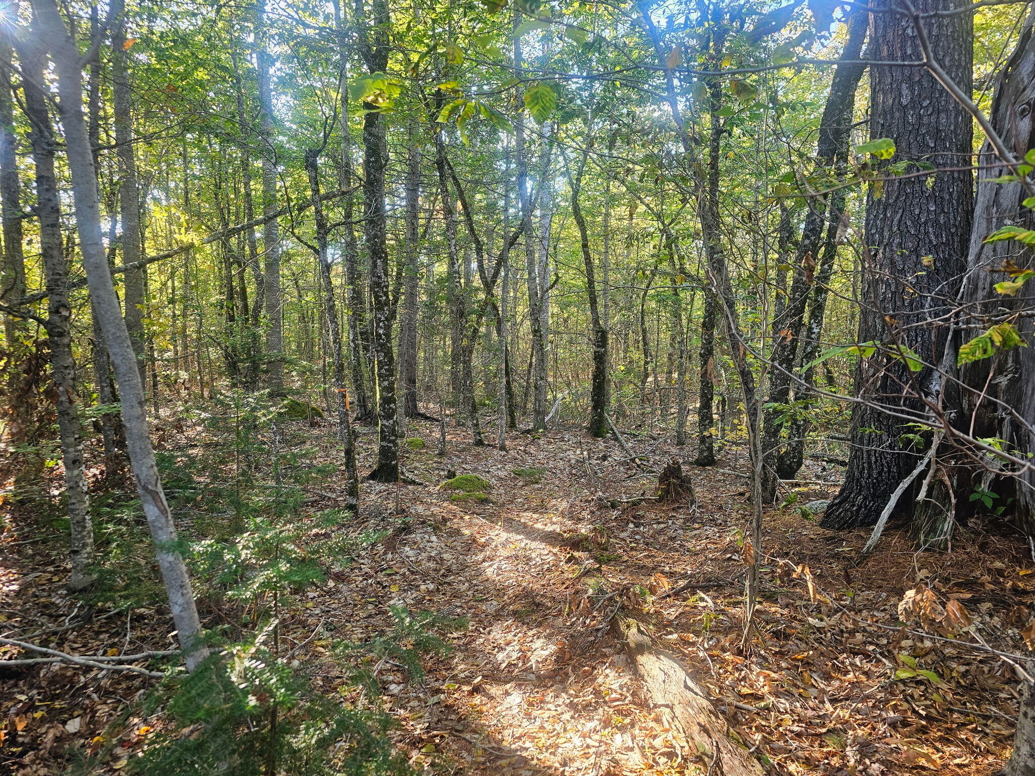 154 Lower Road LOT 35