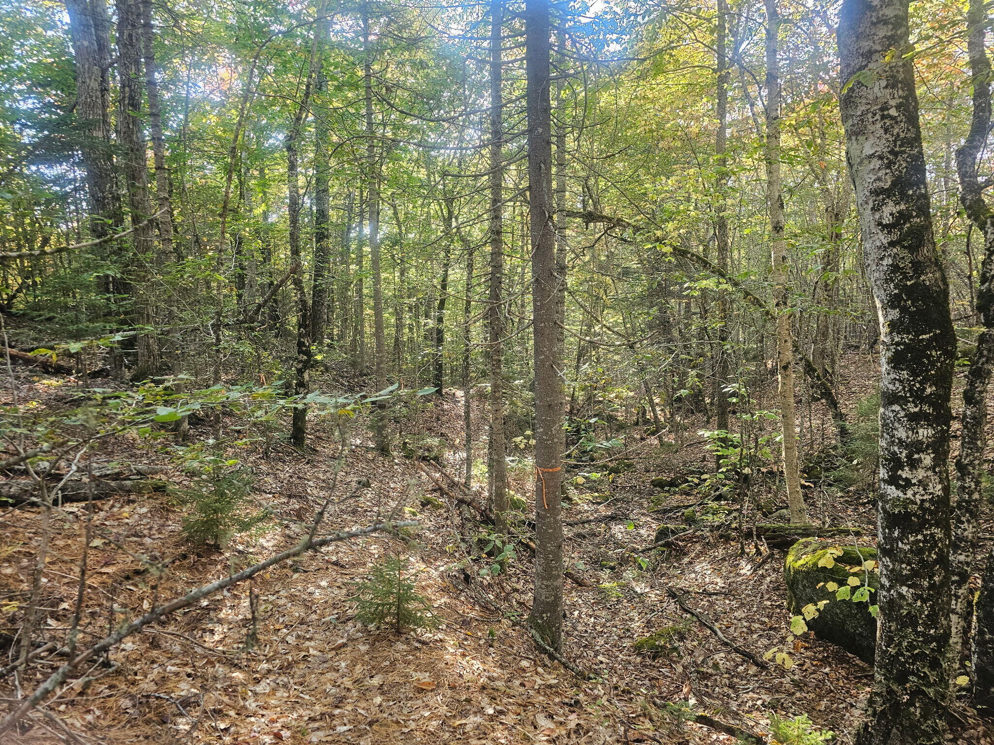 154 Lower Road LOT 35