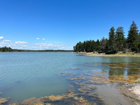 Photo of 86 Back Shore Road, Steuben, ME 04680 (MLS # 1670270)