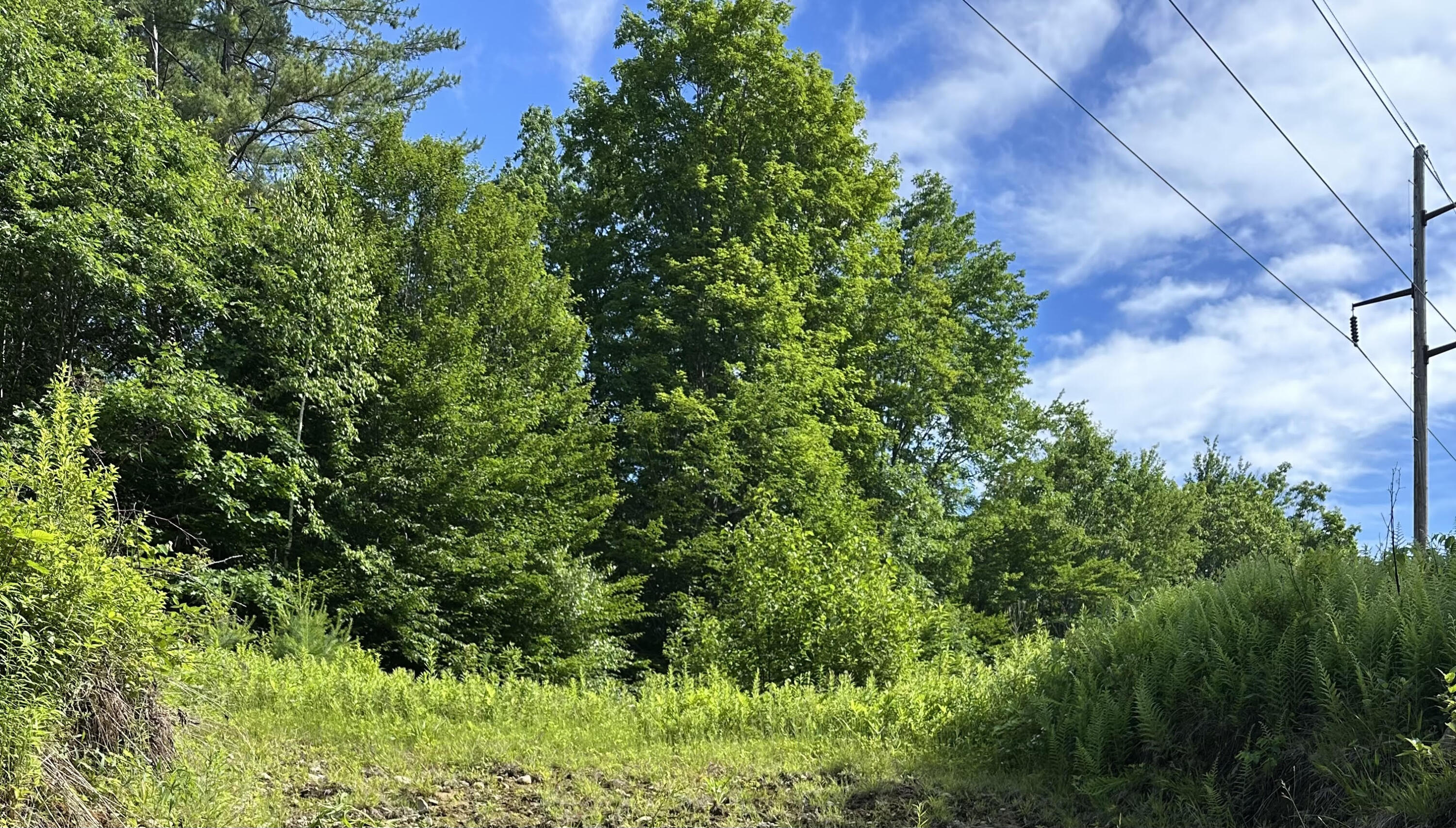 Lot 020 Canton Mountain Road