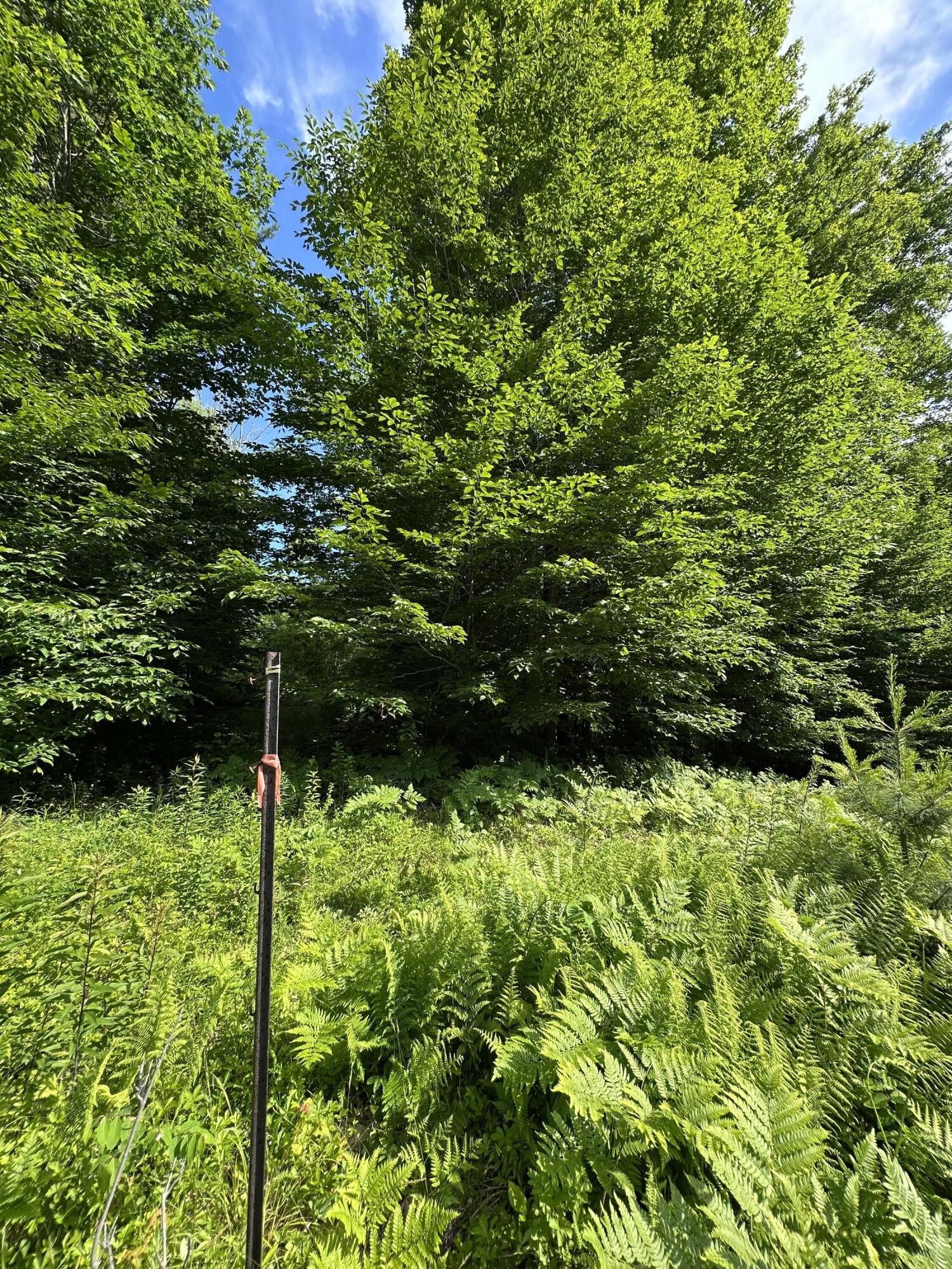 Lot 020 Canton Mountain Road