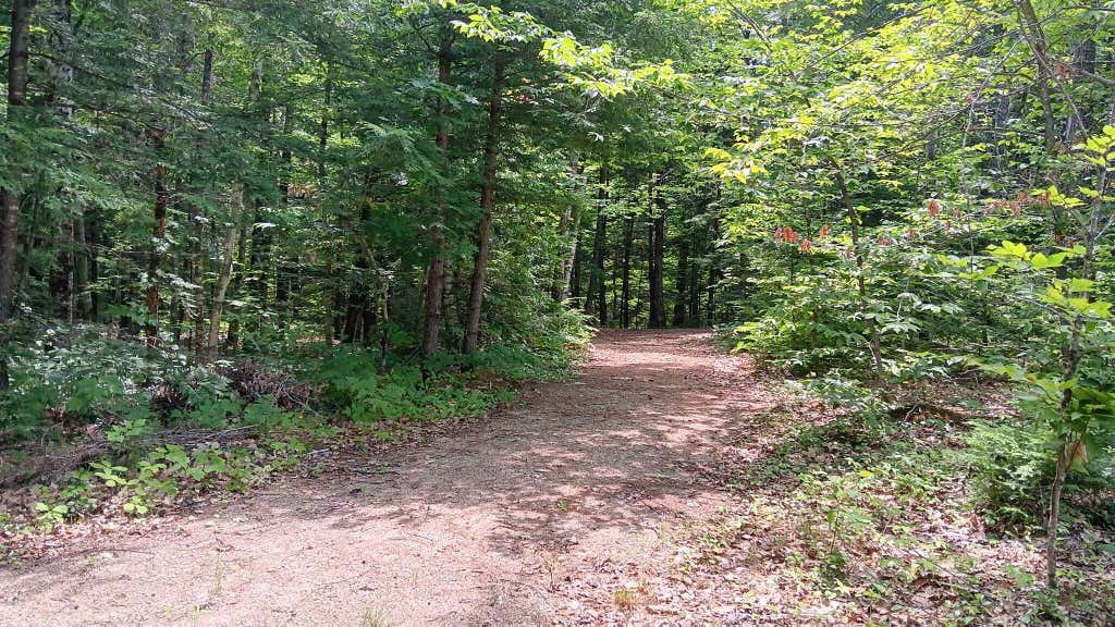 Photo of 1183 Old Waterford Road, Lovell, ME 04051 (MLS # 1671015)