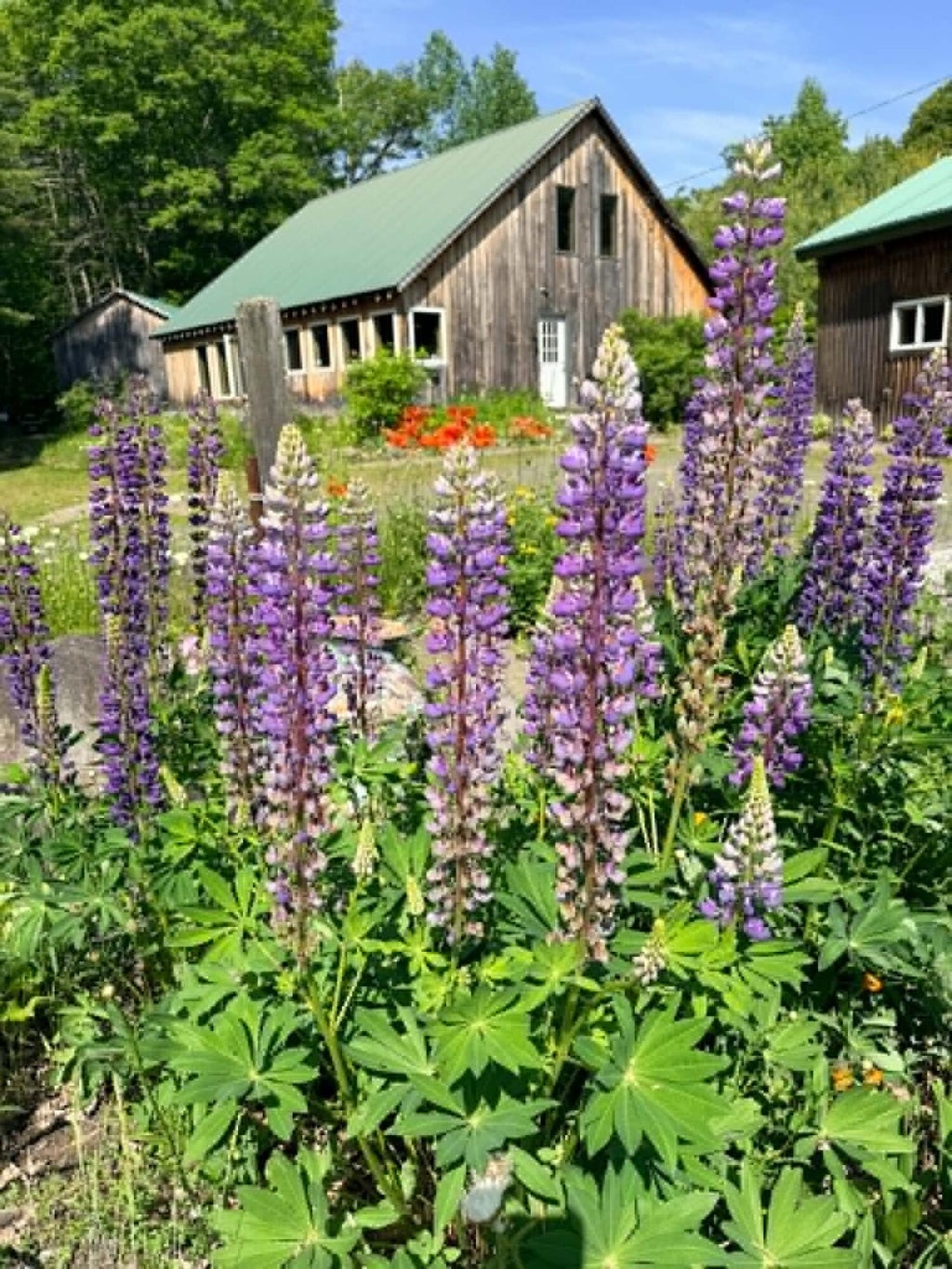Photo of 385 Water Street, Guilford, ME 04443 (MLS # 1667552)