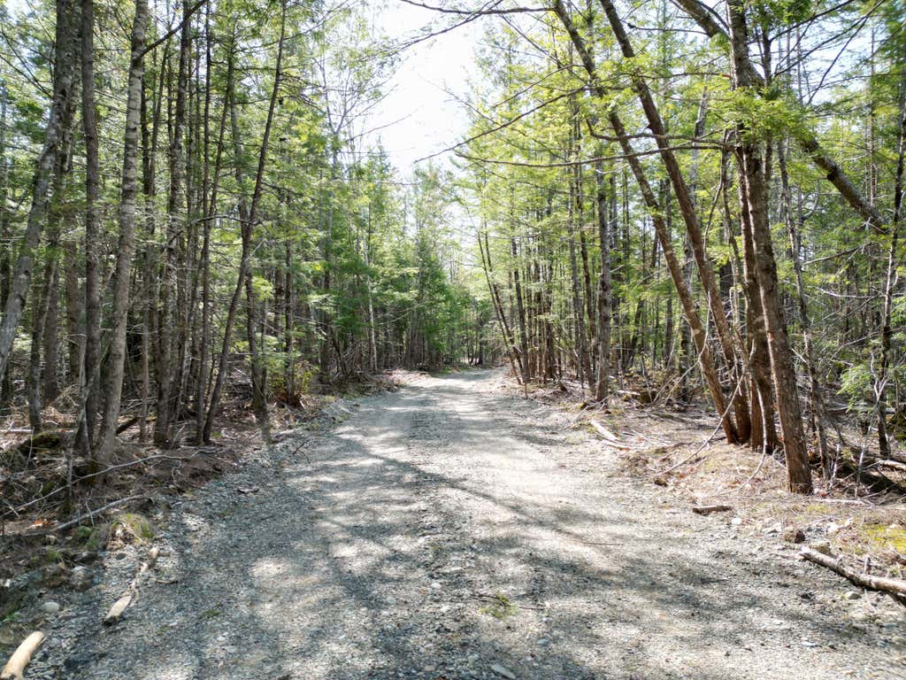 Photo of Lot 2 Off Mattamiscontis Road, Howland, ME 04448 (MLS # 1663347)