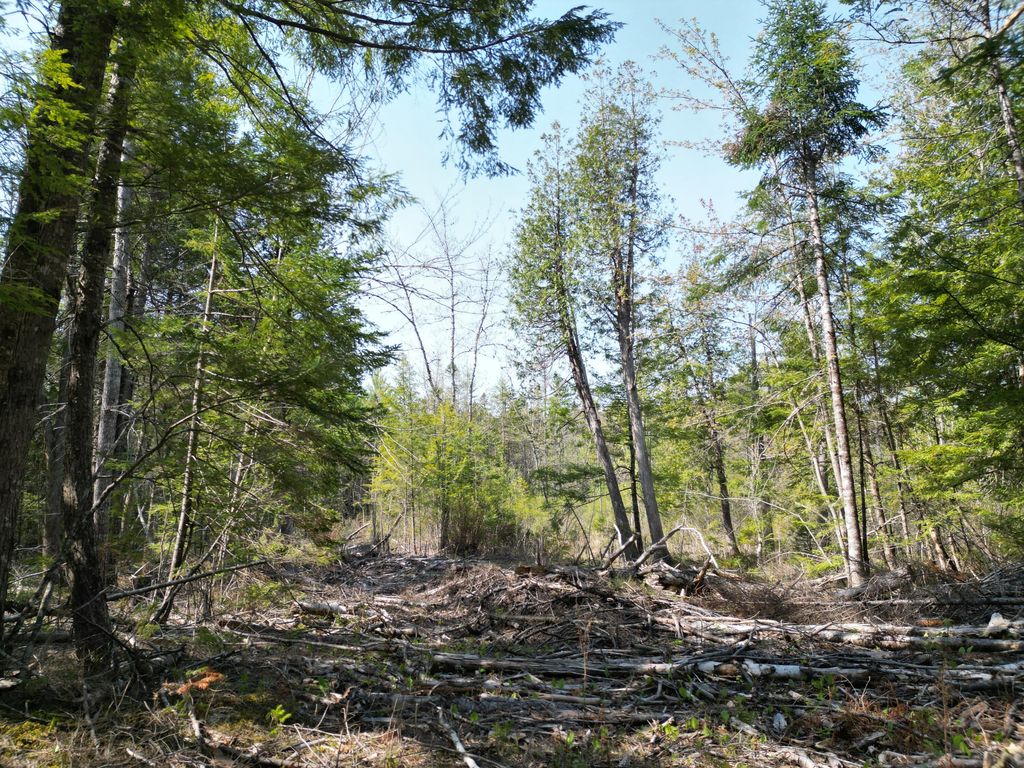 Photo of Lot 2 Off Mattamiscontis Road, Howland, ME 04448 (MLS # 1663347)