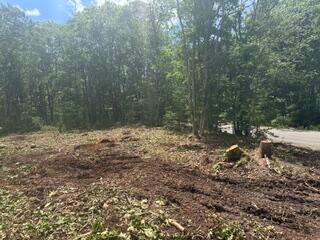 Lot 36A Mills Road