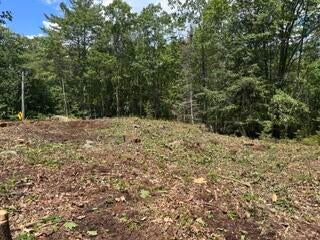 Lot 36A Mills Road
