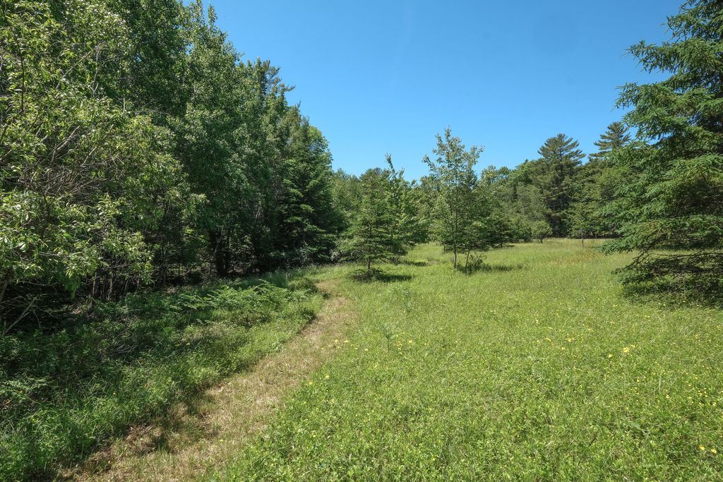 Photo of 42 Dwelly Point Road, Franklin, ME 04634 (MLS # 1665339)