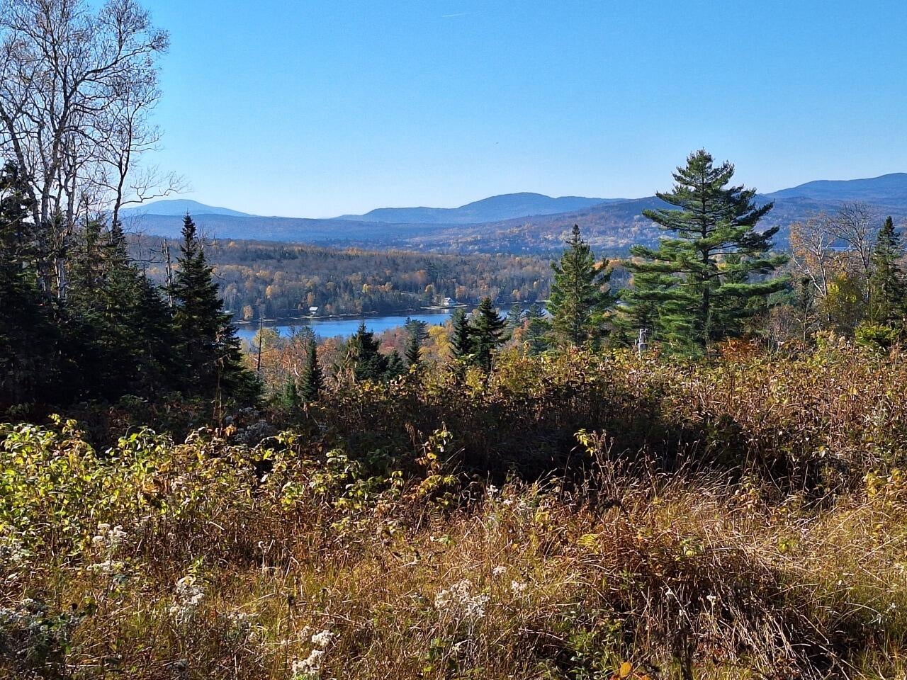 Lot #9 Wheeler Road 9