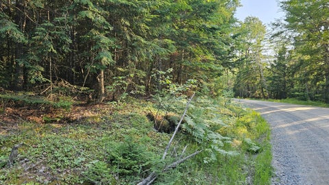 Photo of 01-Lot 26 County Road, Greenfield Twp, ME 04461 (MLS # 1670255)