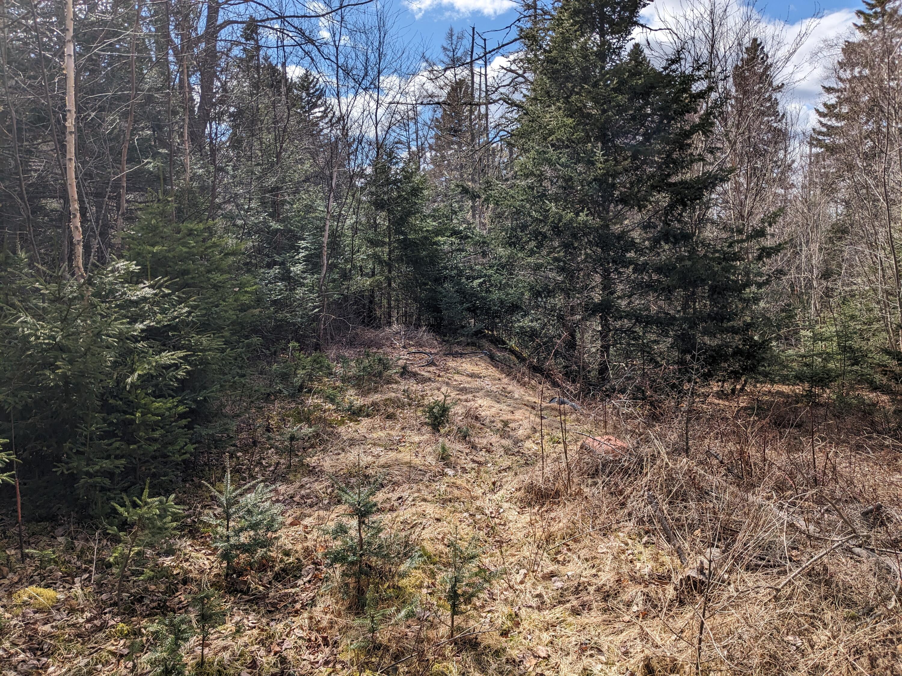 4-28 Old Town Rd/Old County RD Road