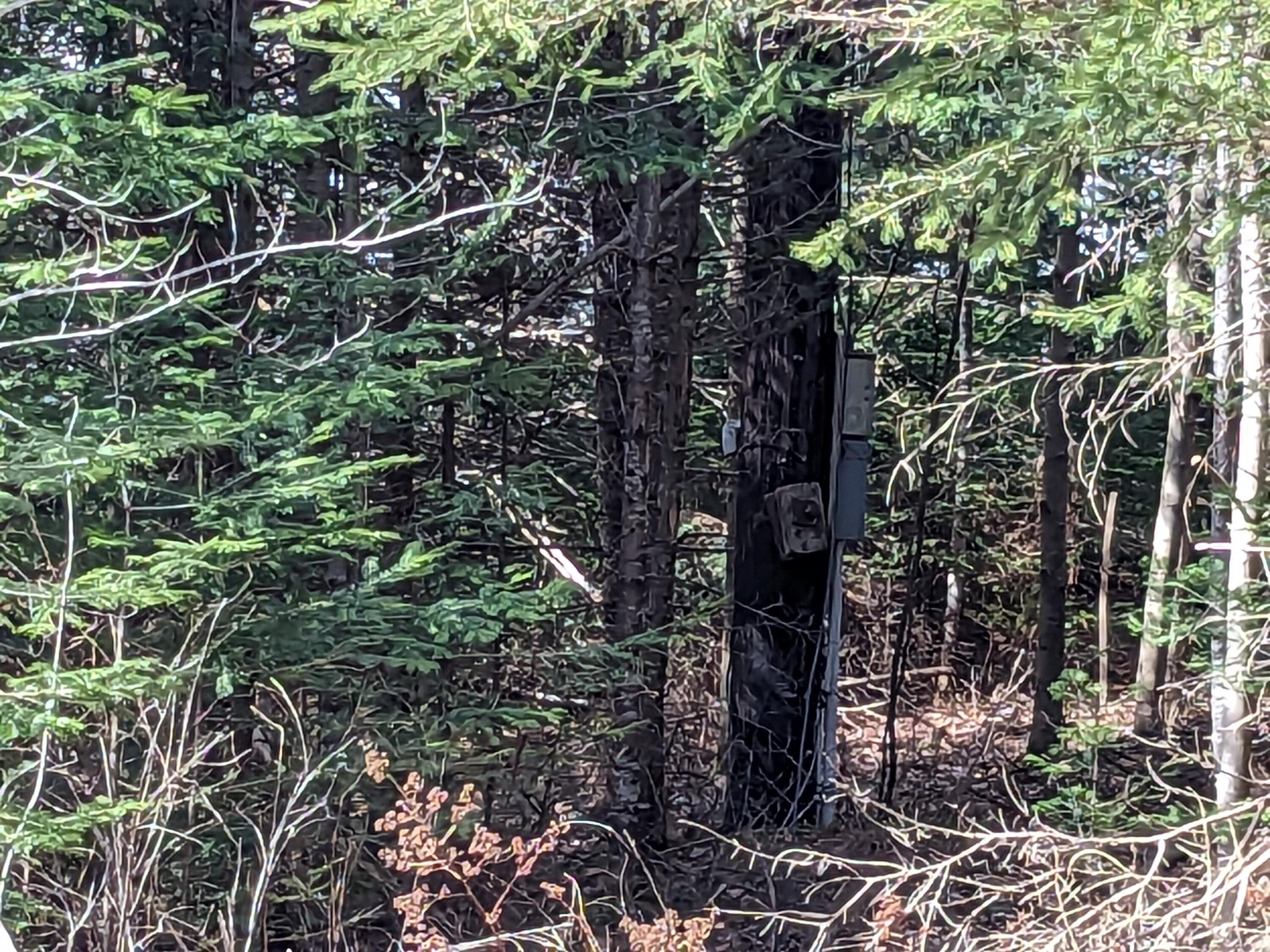 4-28 Old Town Rd/Old County RD Road