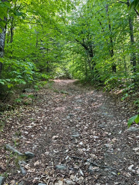 Photo of 60 Hutchinson Road, Linneus, ME 04730 (MLS # 1665576)