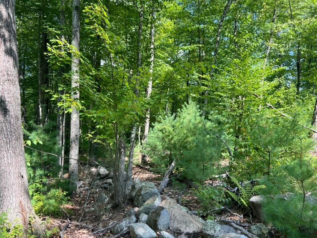 0 Old County Road