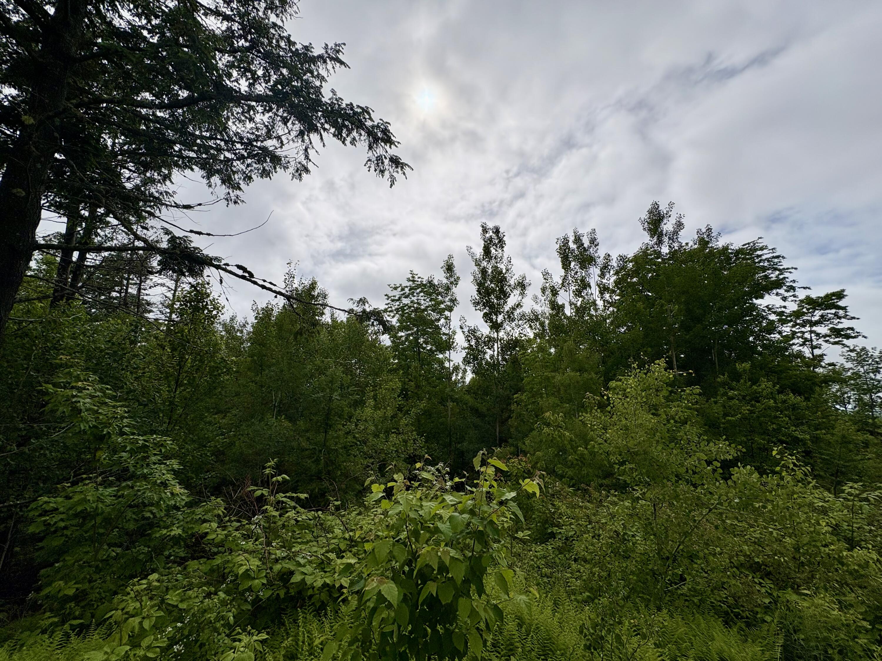 Lot 11 Mt. Jefferson Heights
