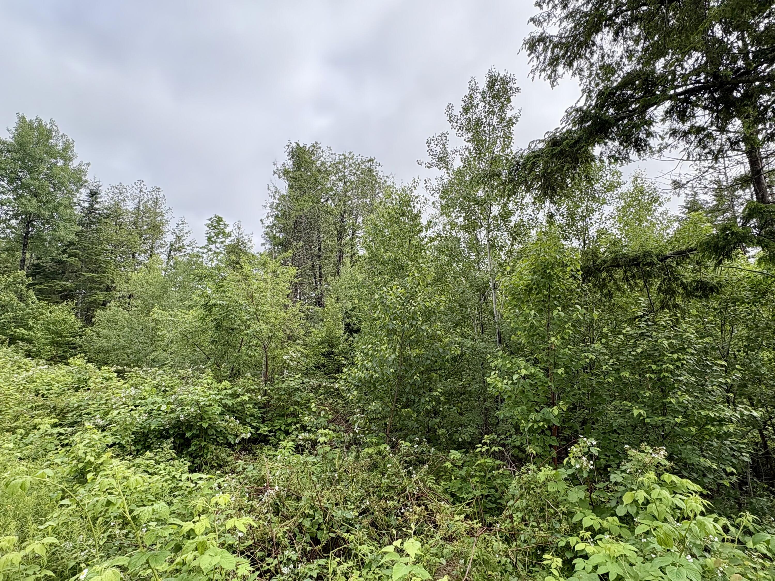 Lot 11 Mt. Jefferson Heights