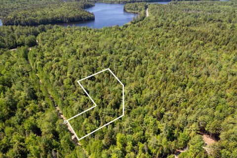 Photo of 21 Hasbro Road, Millinocket, ME 04462 (MLS # 1668171)