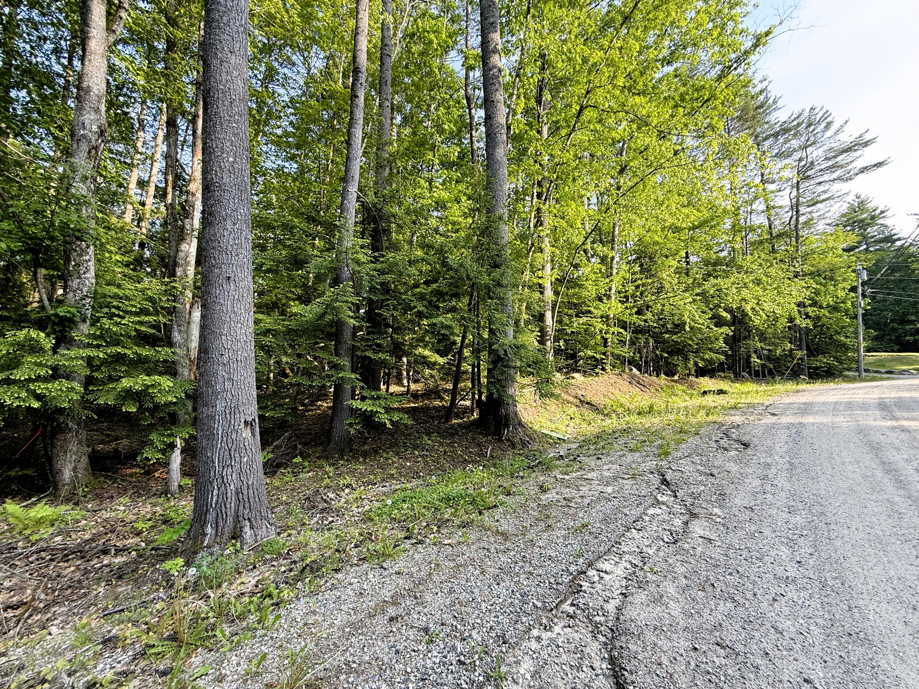 51 Beaver Dam Road