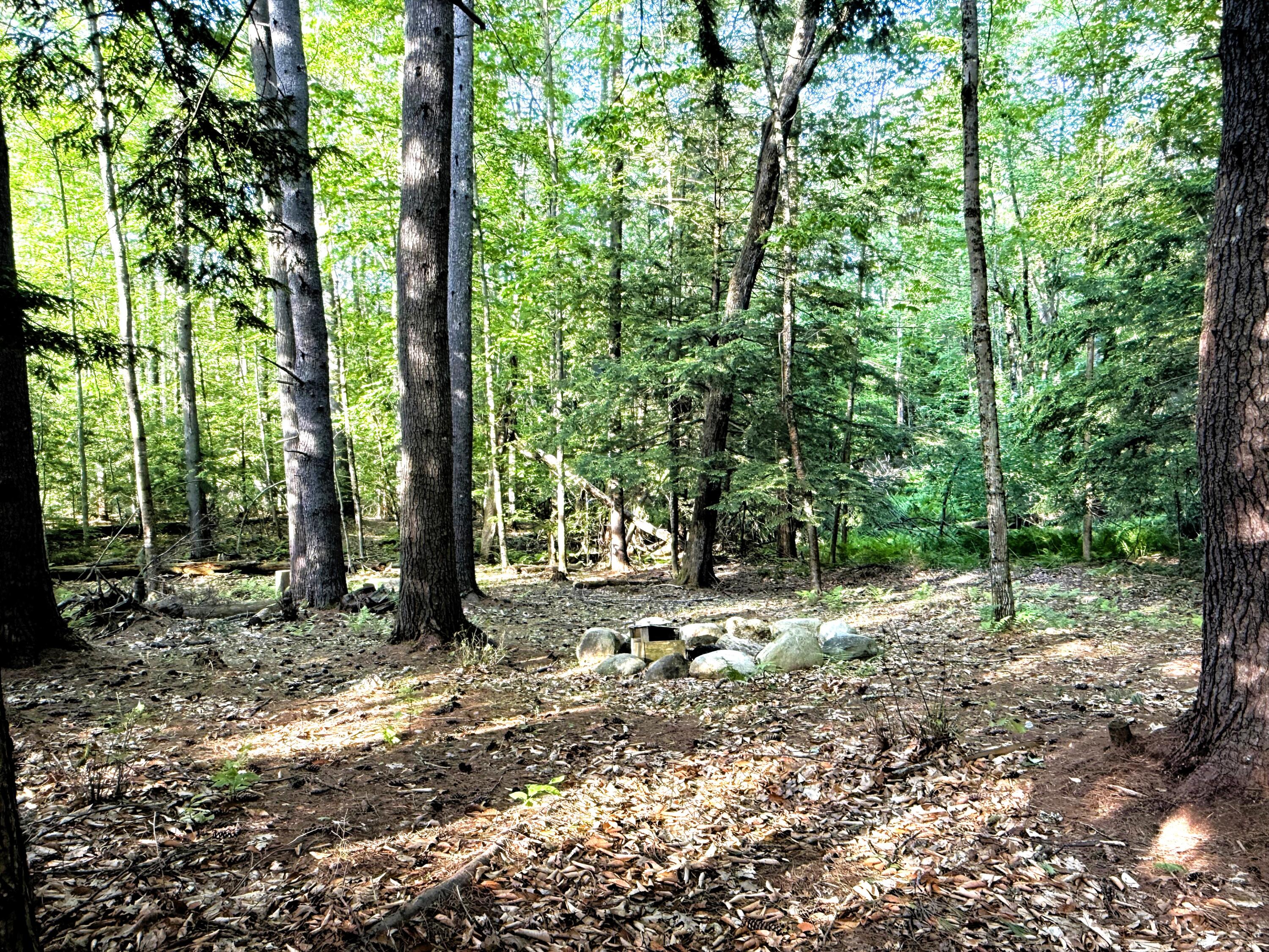 51 Beaver Dam Road