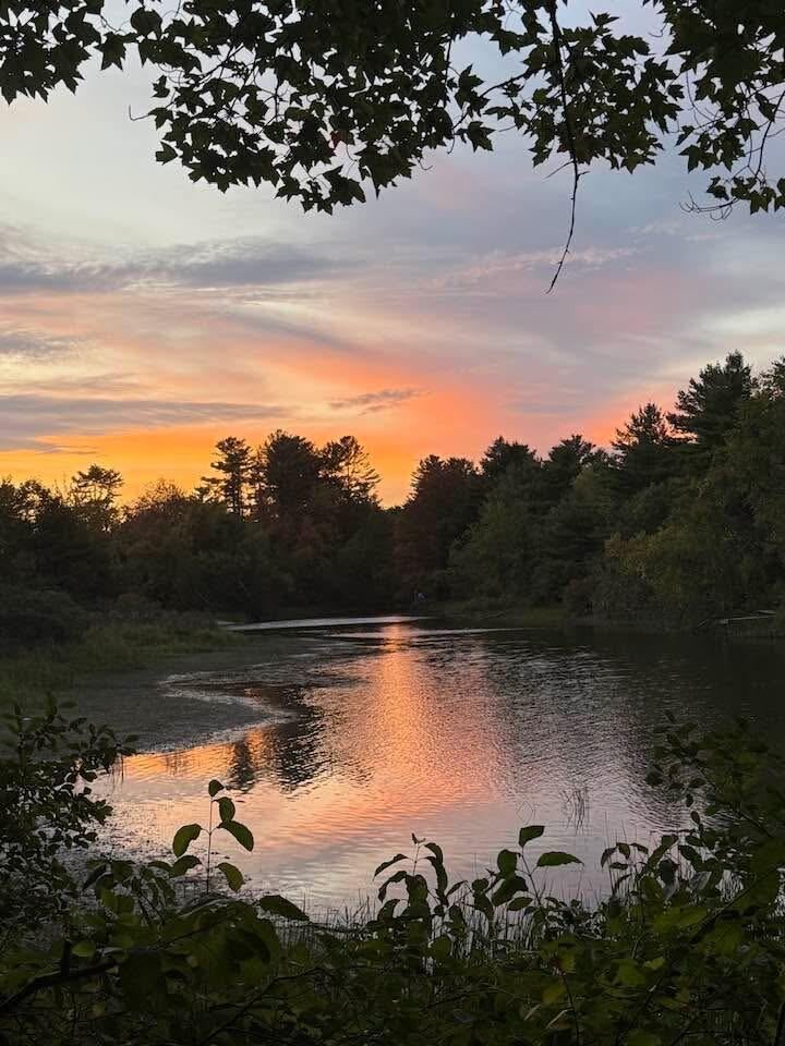 Photo of 14 Lake Shore Drive, Casco, ME 04015 (MLS # 1668807)