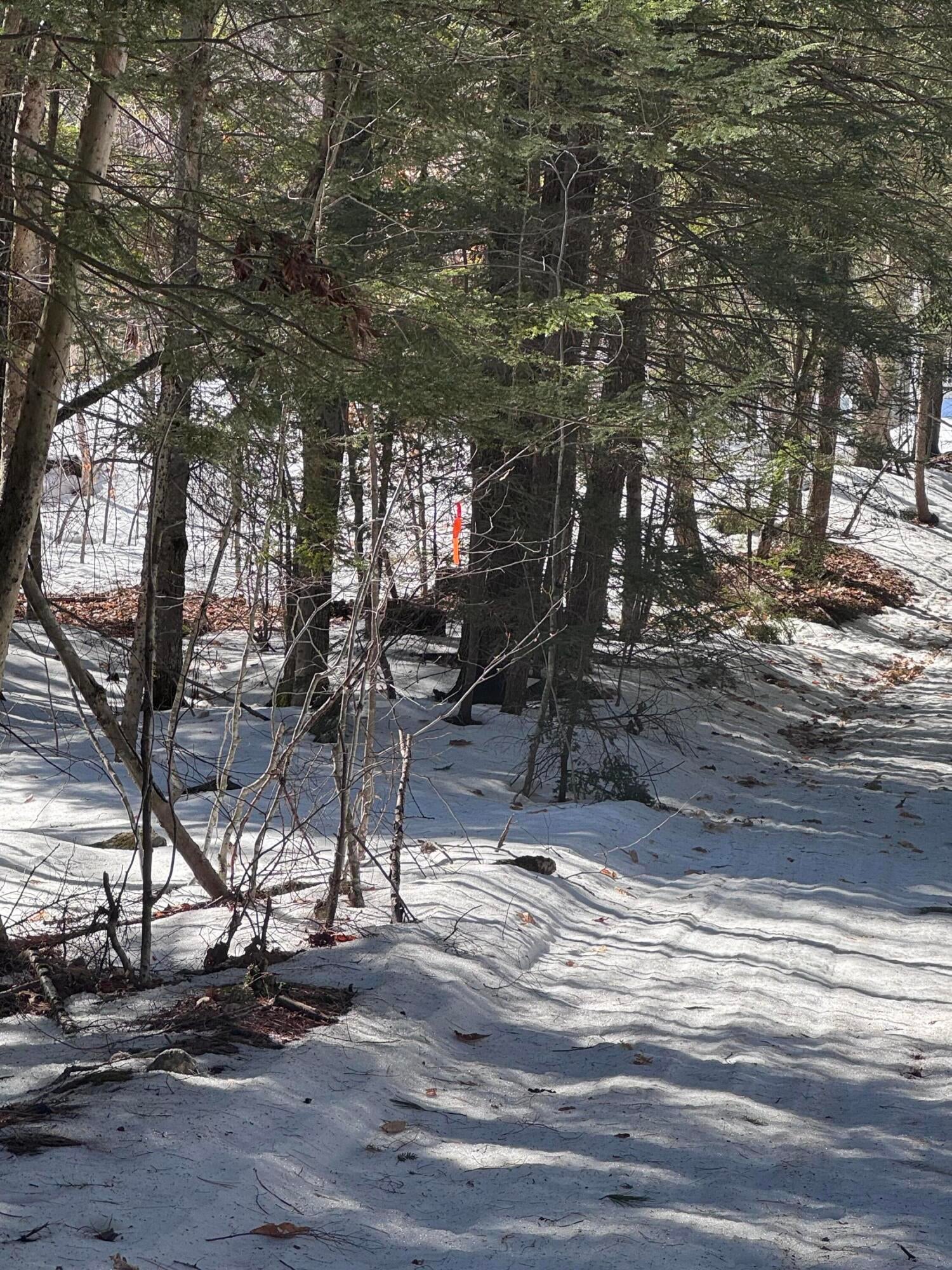 Lot #10 Goose Pond Road