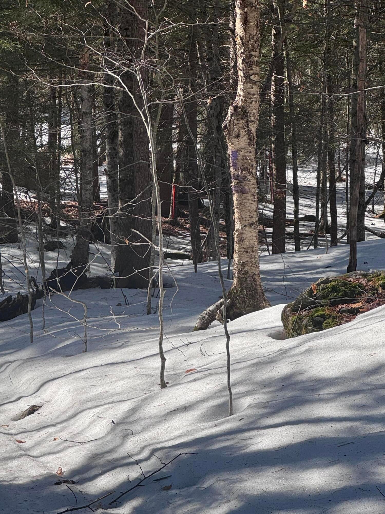 Lot #10 Goose Pond Road