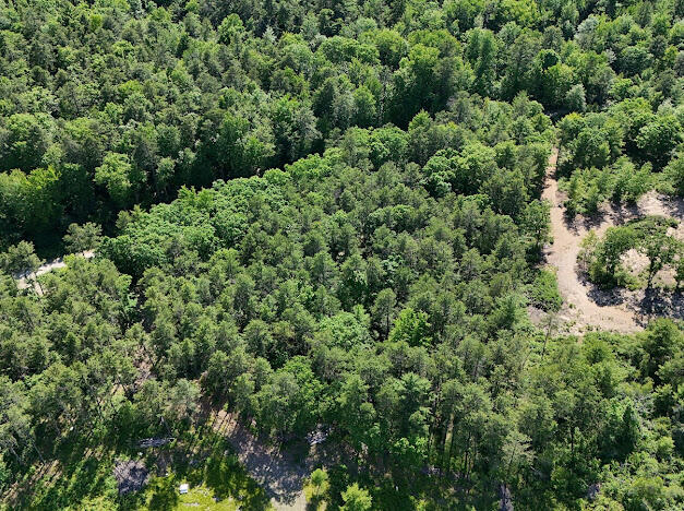 Lot 23, F1 Little Poverty Pond Road