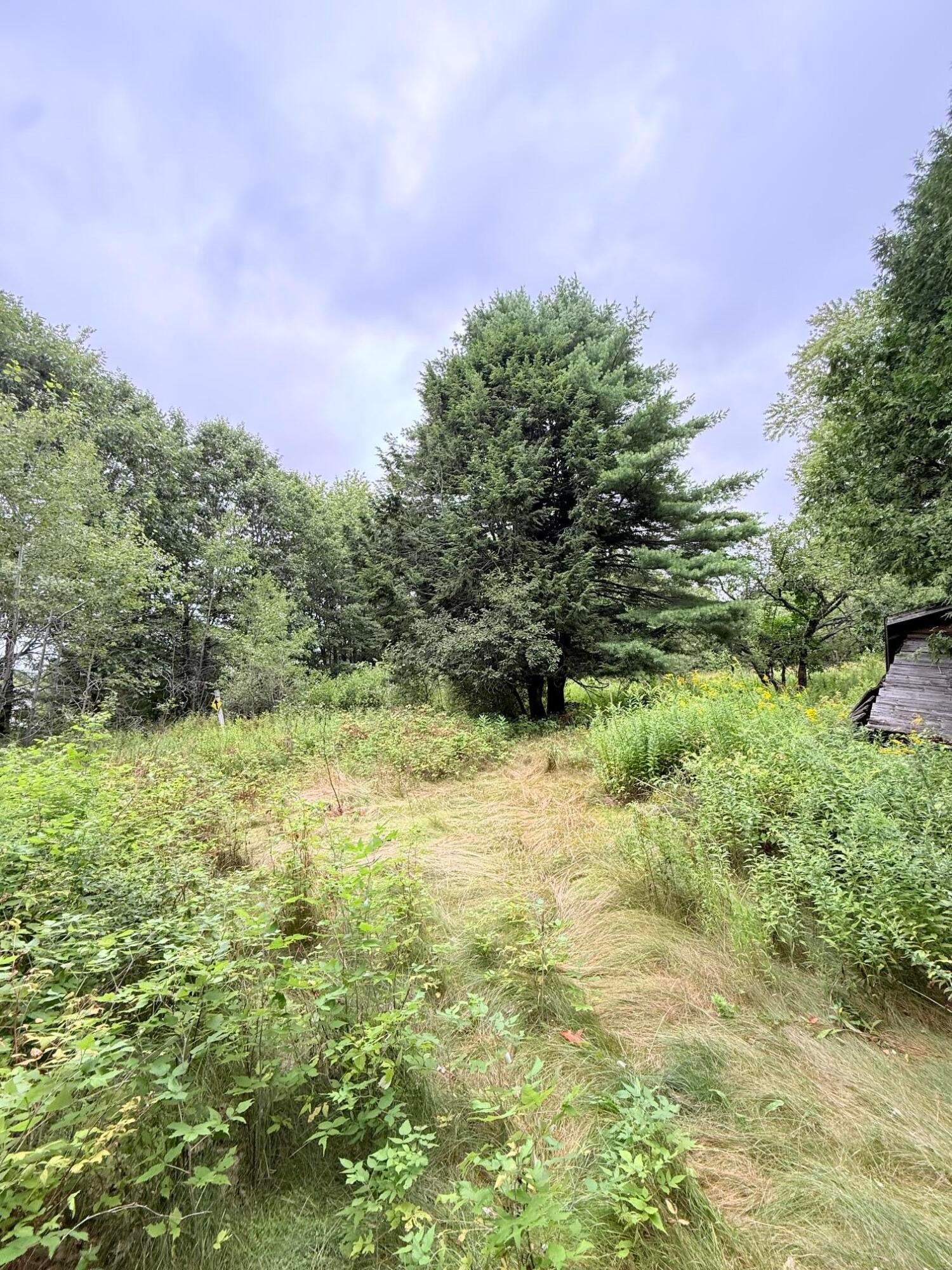 312 Pownal Road