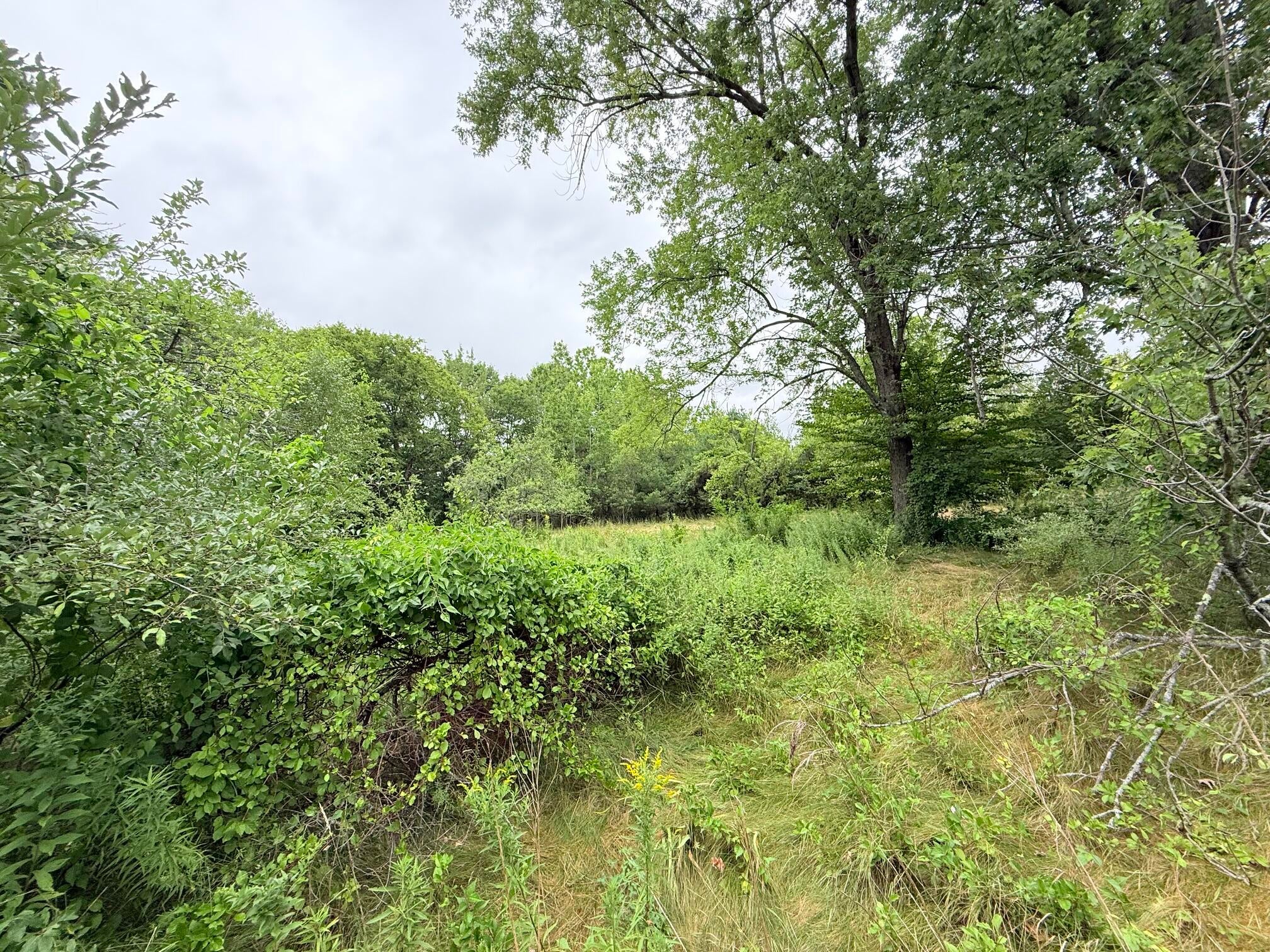 312 Pownal Road