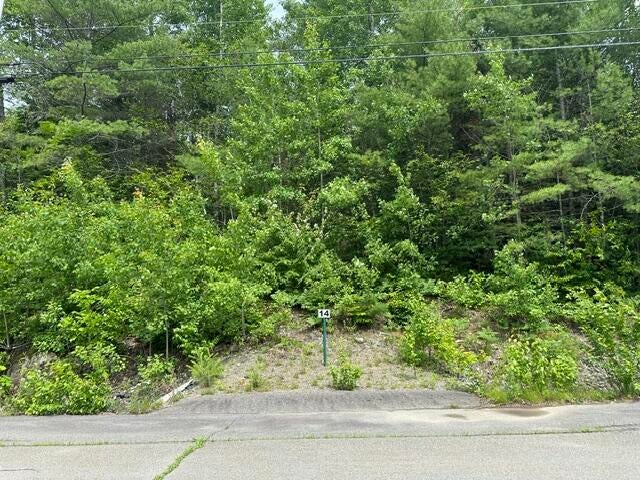 Photo of Lot 14 Grant Road, Orono, ME 04473 (MLS # 1669461)