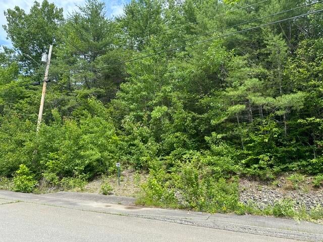 Photo of Lot 14 Grant Road, Orono, ME 04473 (MLS # 1669461)