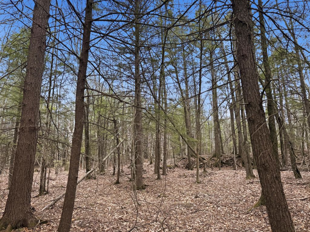 Photo of 0 Old Portland Road, Brunswick, ME 04011 (MLS # 1666725)