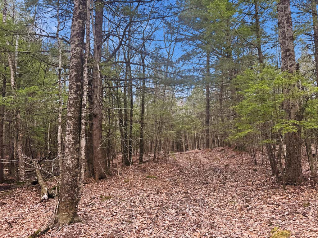 Photo of 0 Old Portland Road, Brunswick, ME 04011 (MLS # 1666725)