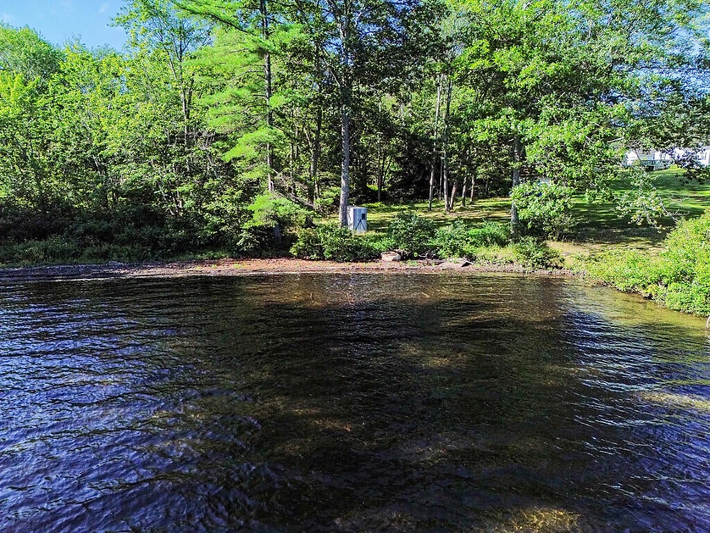 41 Milkweed Lane