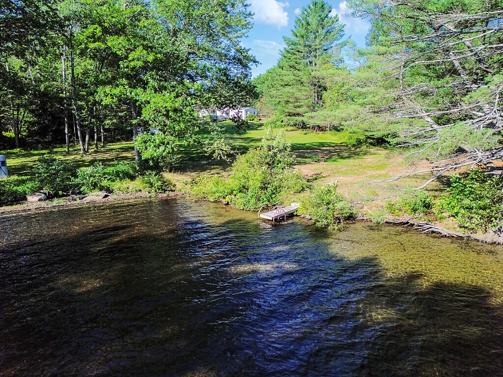 41 Milkweed Lane