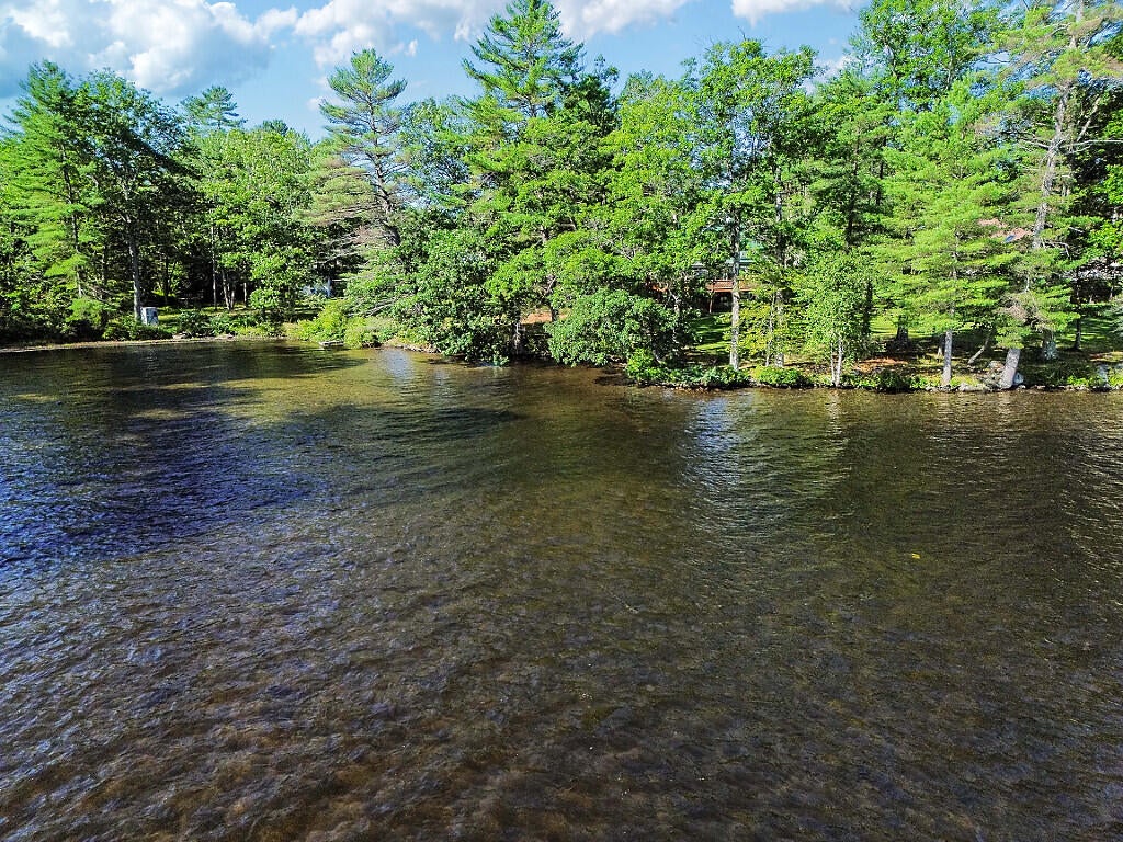 41 Milkweed Lane