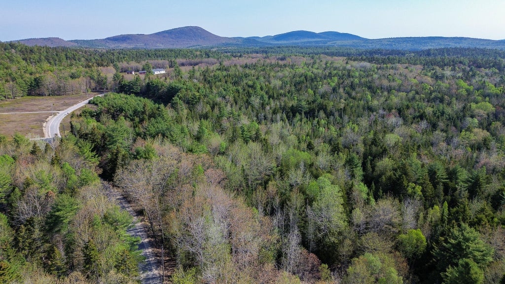 Photo of 006-019A Punkinville Road, Sullivan, ME 04664 (MLS # 1665005)