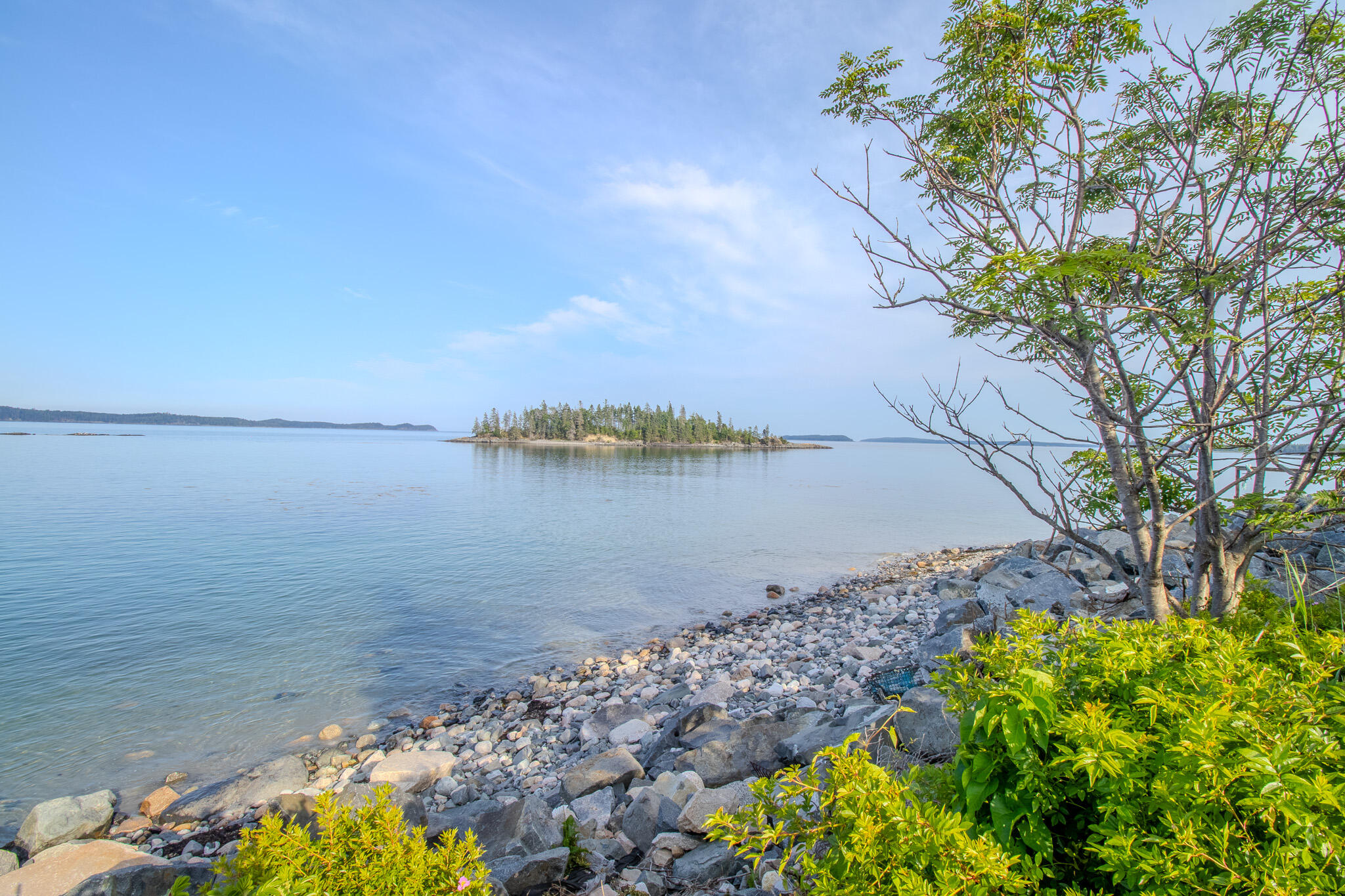 541 Mason Bay Road