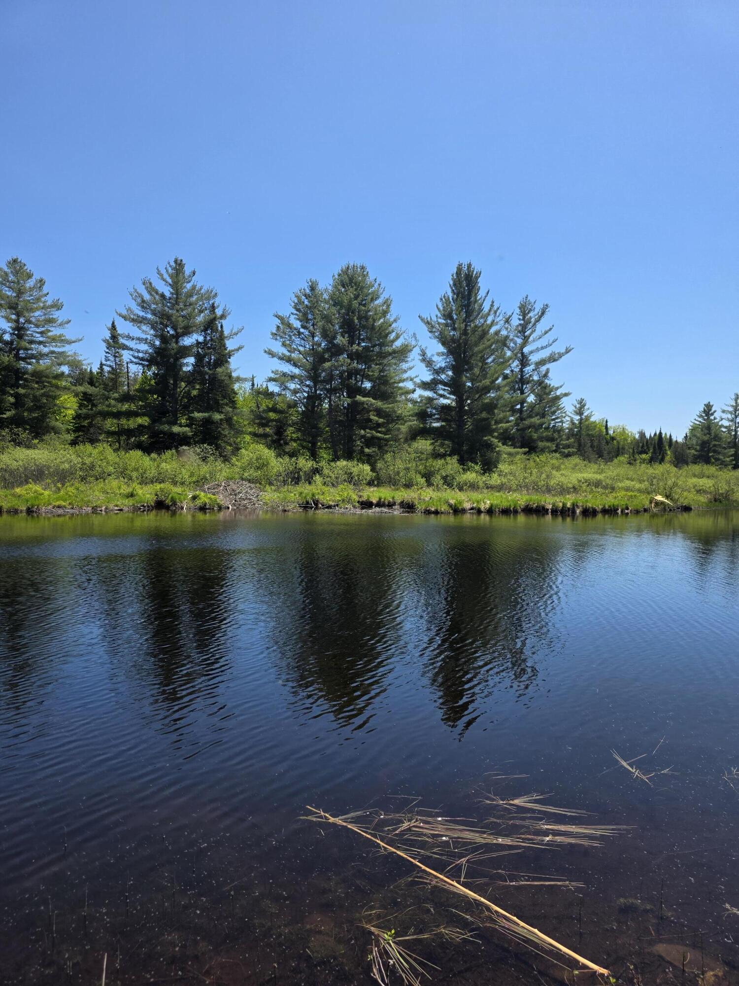 P 8 L 4 Prescott Pond Rd.