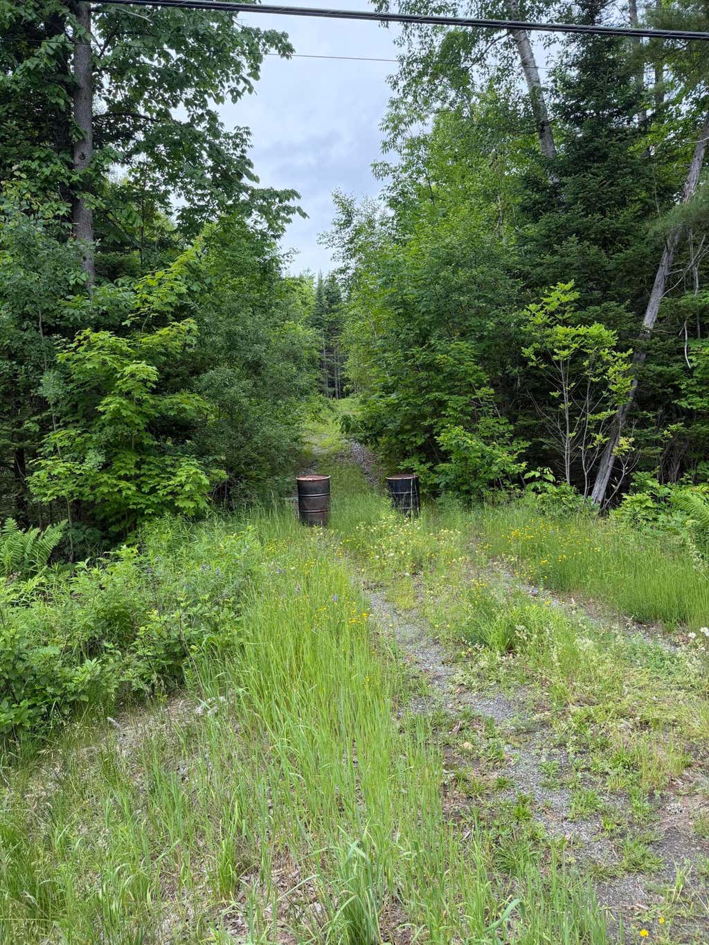 Photo of 967 Milo Road, Sebec, ME 04481 (MLS # 1669103)