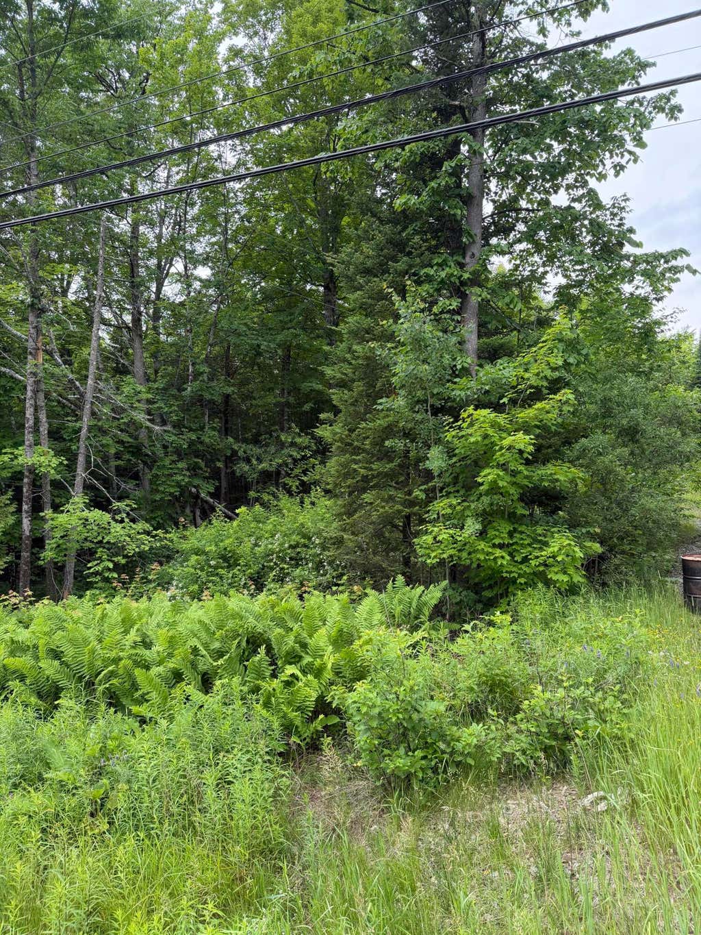 Photo of 967 Milo Road, Sebec, ME 04481 (MLS # 1669103)