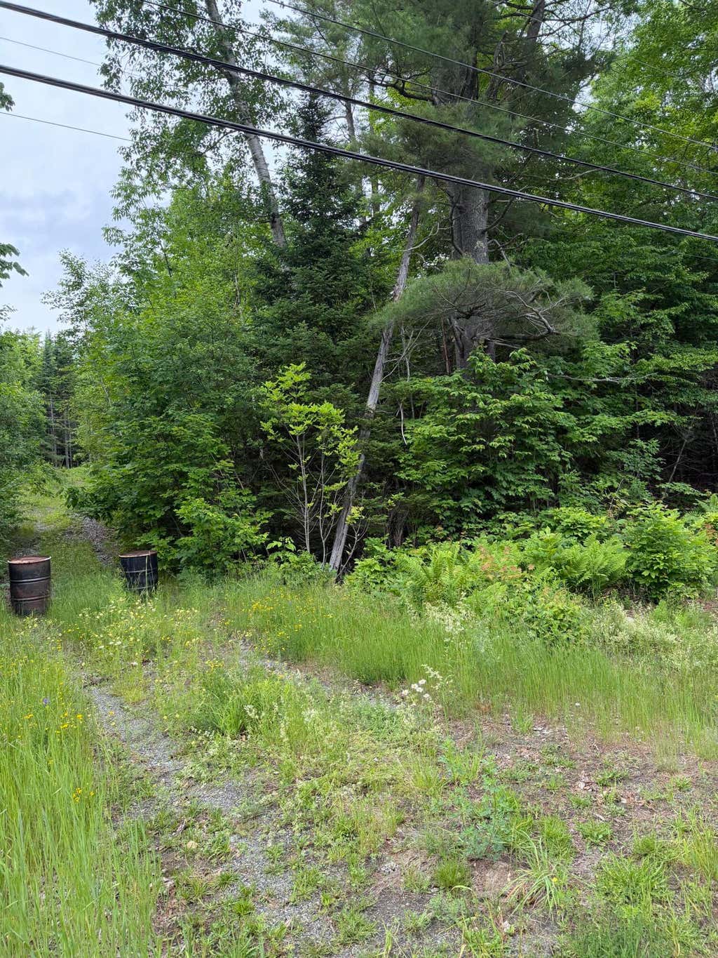 Photo of 967 Milo Road, Sebec, ME 04481 (MLS # 1669103)