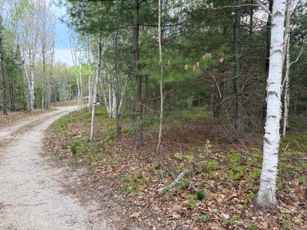 Photo of Lot #8 Thayer Road, Waltham, ME 04605 (MLS # 1662895)