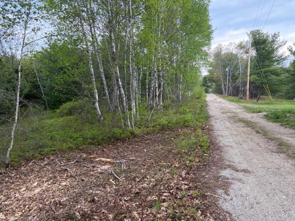 Photo of Lot #8 Thayer Road, Waltham, ME 04605 (MLS # 1662895)